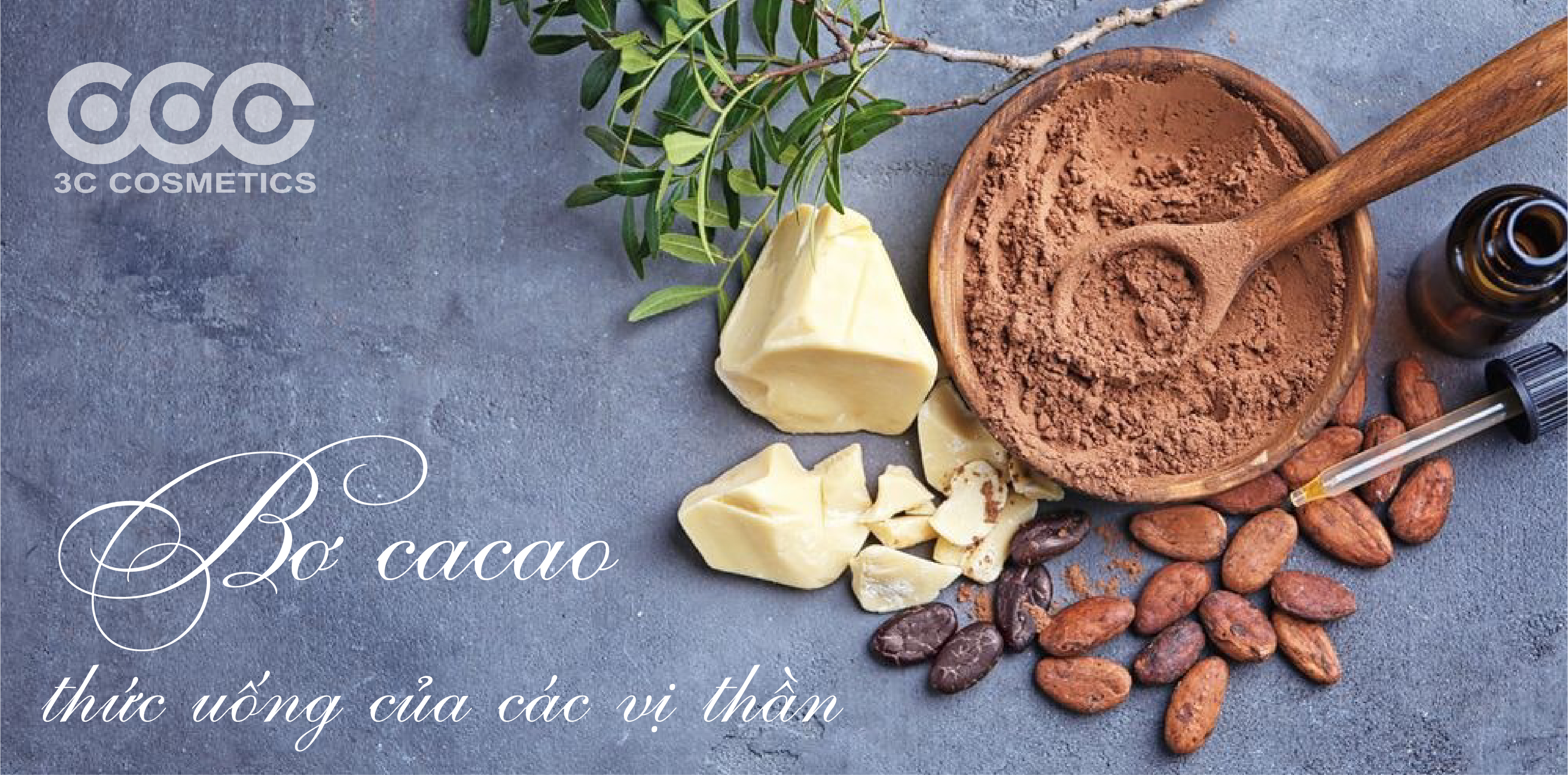 Bơ cacao và những lợi ích tuyệt vời với làn da