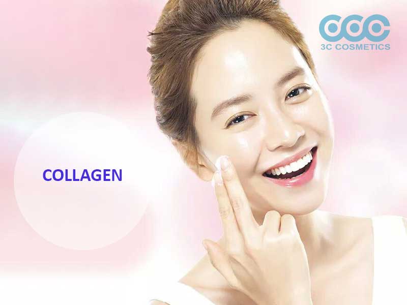Vai trò của collagen